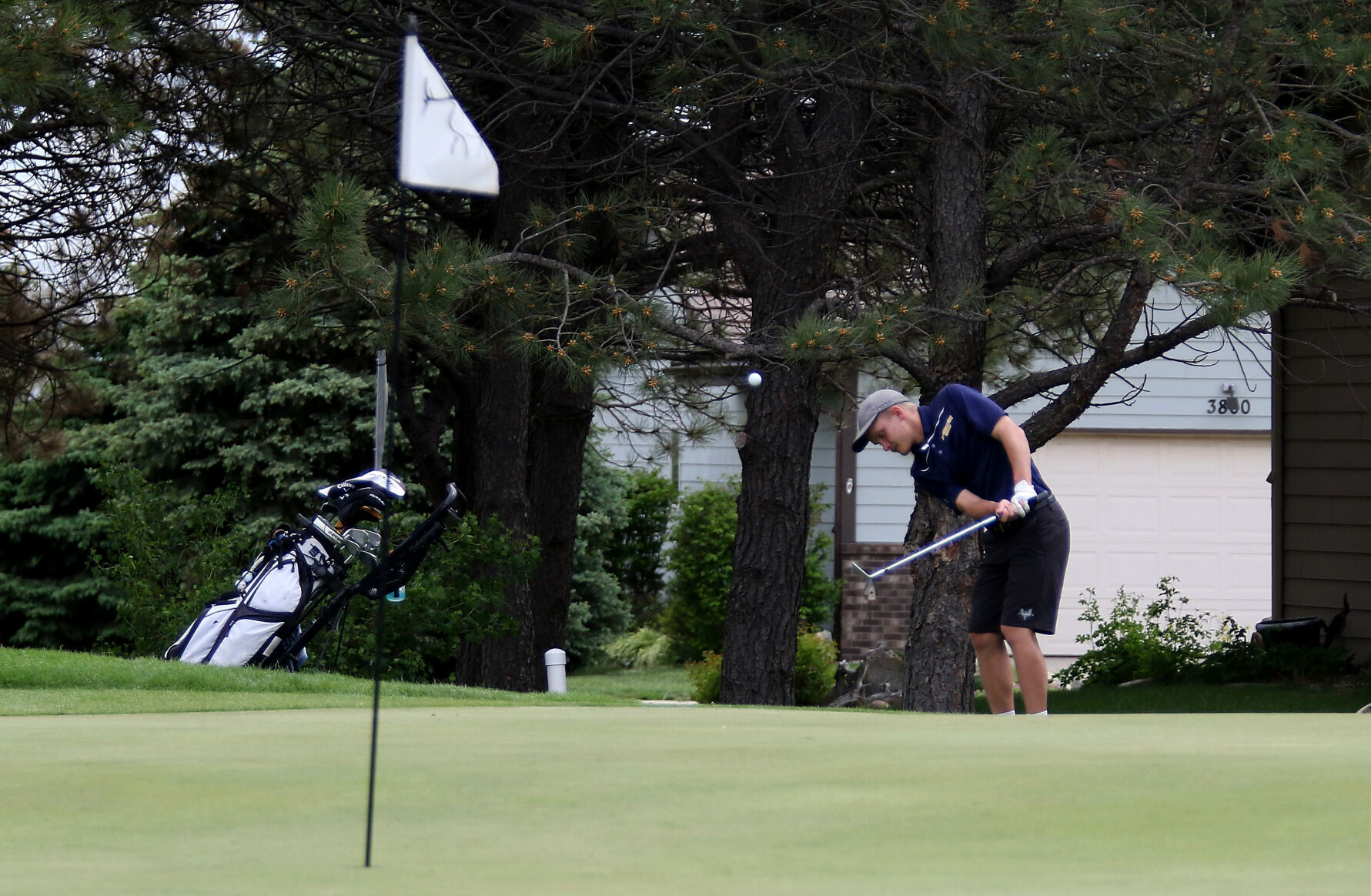060722-golf3D.jpg